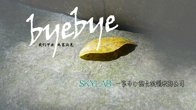 SKYLAB，一家做无线模块的公司